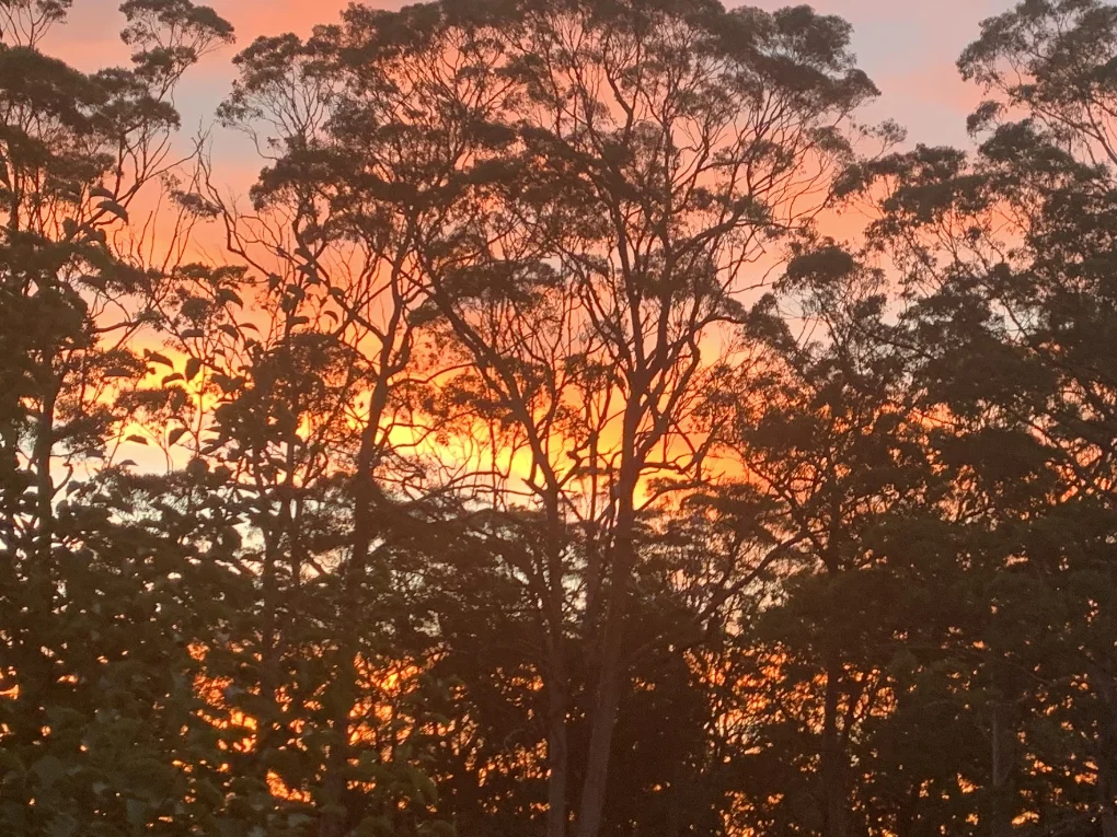  Ever thought of a Sea Change or rather a Tree Change